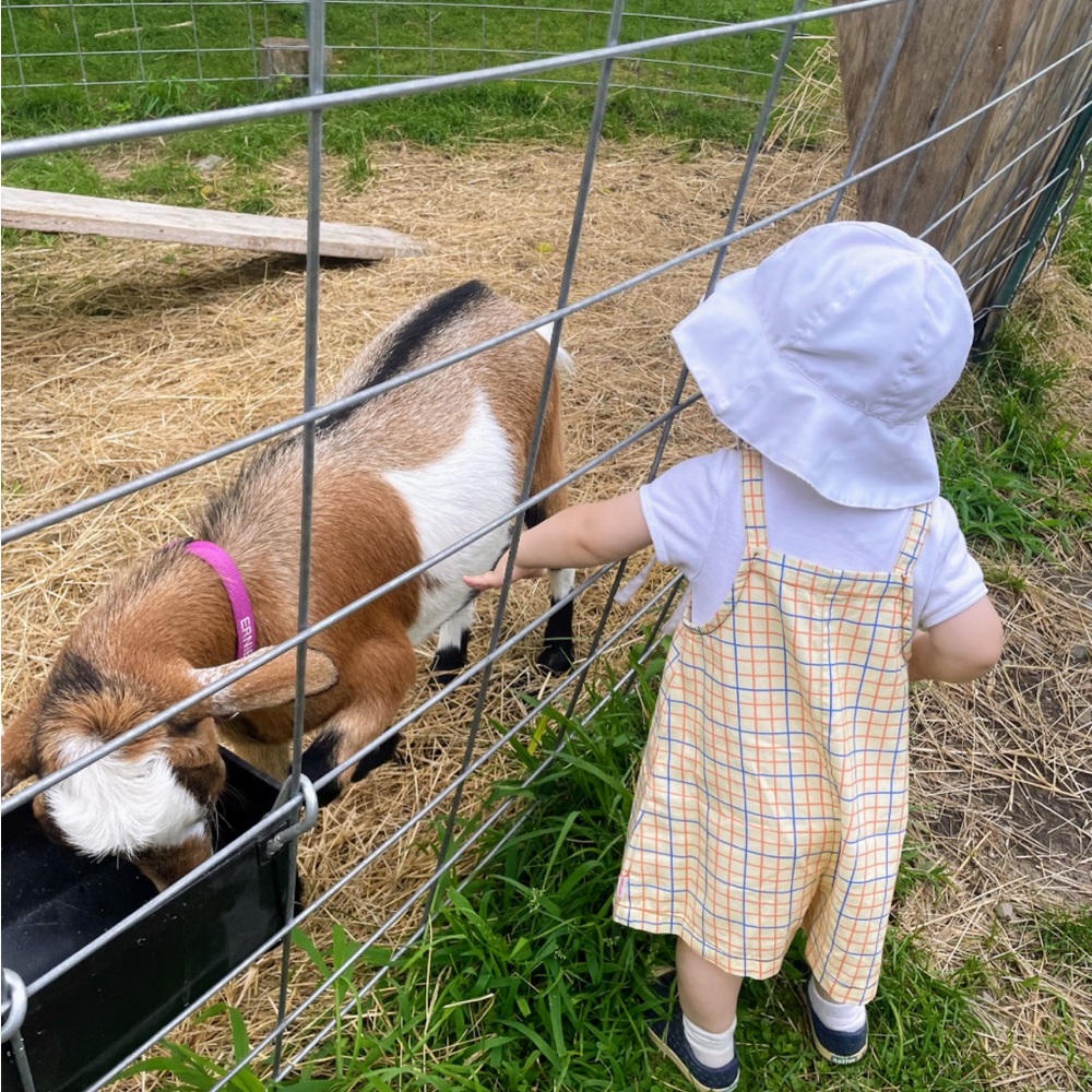 Tiny Cottons dungaree pants